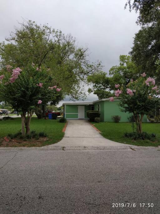 Green House Tampa Kültér fotó